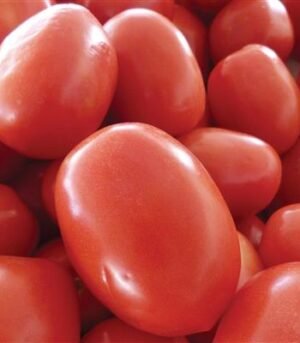 se-veg-to-7925_1